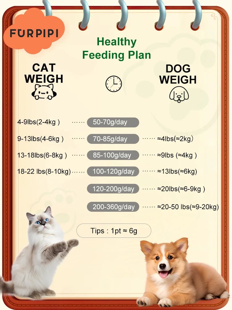 8L Automatic Cat Feeder - Zyreh