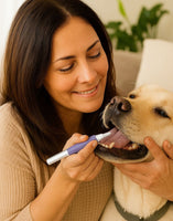 Dental Care Pen For Pets - Zyreh