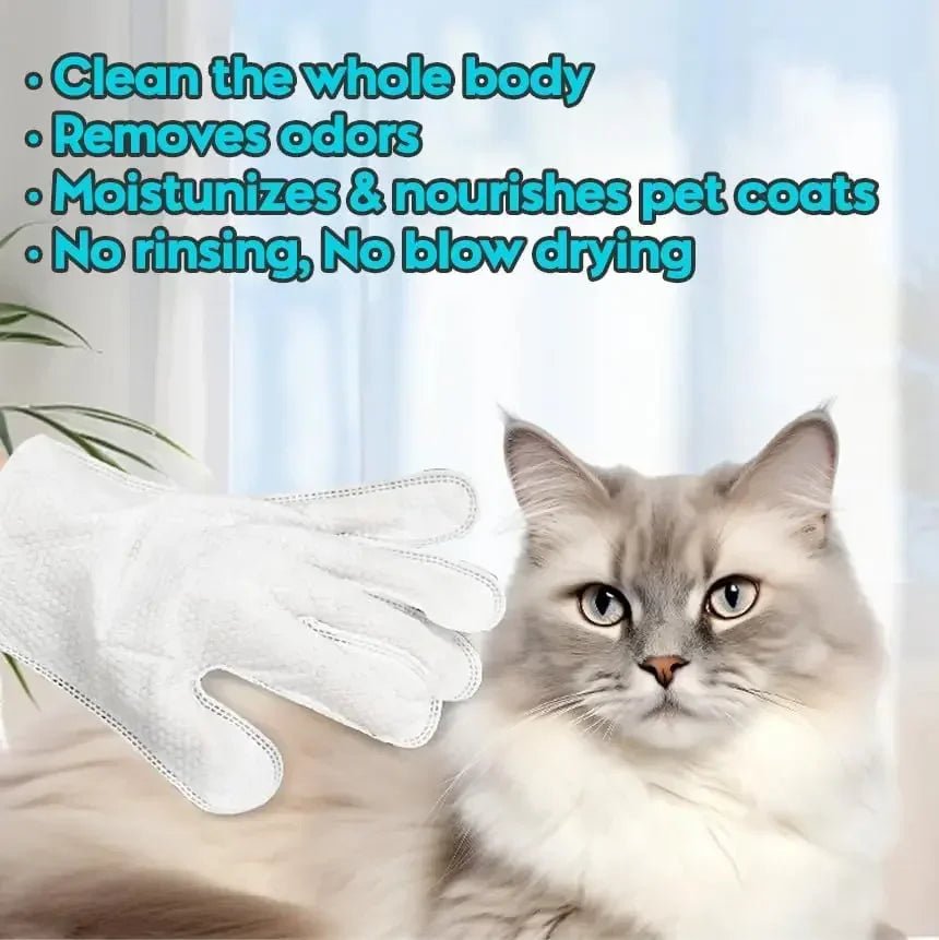 6pcs Pet Cleaning Wipes - Zyreh