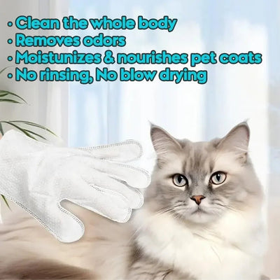 6pcs Pet Cleaning Wipes - Zyreh