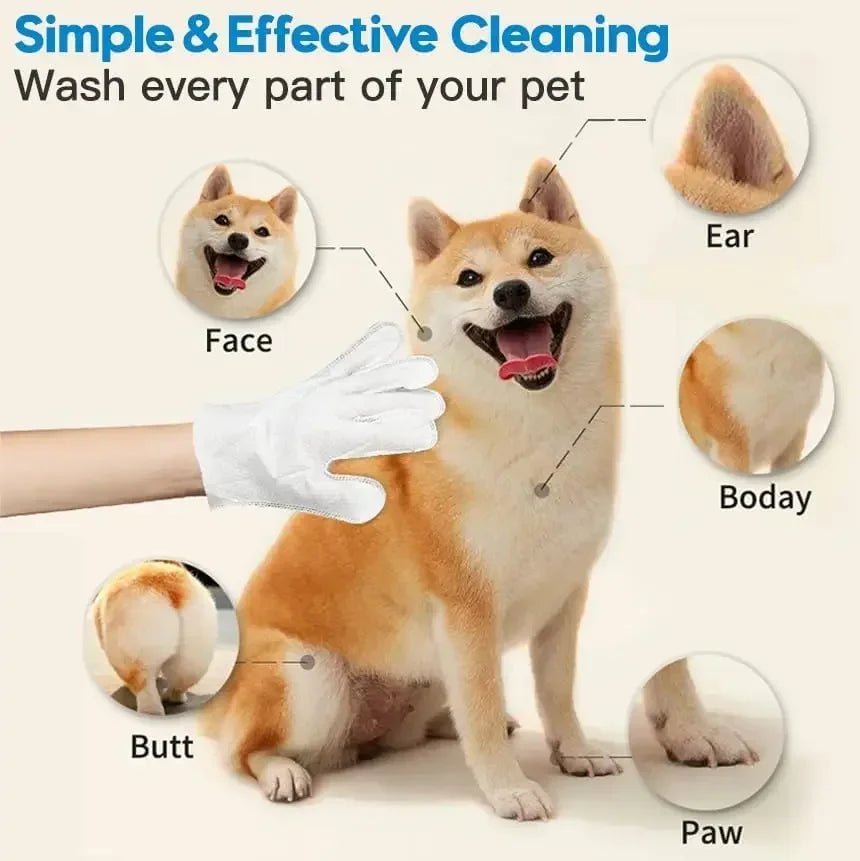 6pcs Pet Cleaning Wipes - Zyreh
