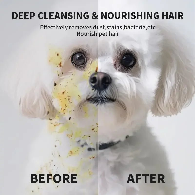 6pcs Pet Cleaning Wipes - Zyreh