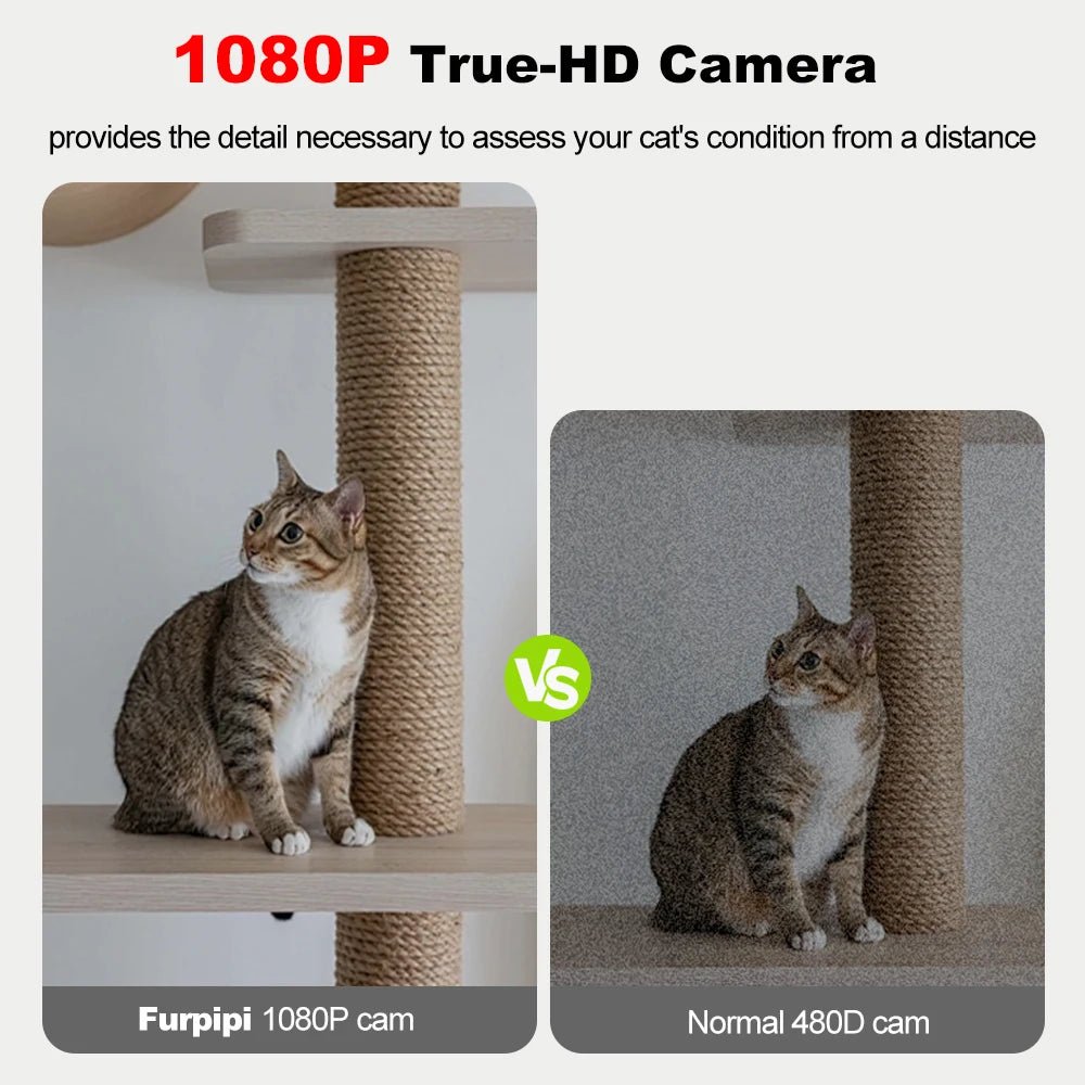 8L Automatic Cat Feeder - Zyreh