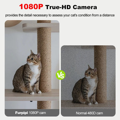 8L Automatic Cat Feeder - Zyreh