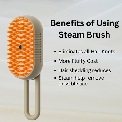 3 -In-1 Steam Spray Cat Brush - Buy 1 Get 1 Free