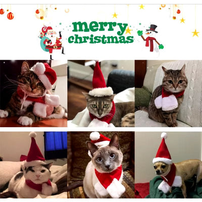 Pet Santa Hat & Scarf Christmas - Zyreh