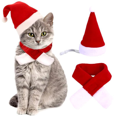 Pet Santa Hat & Scarf Christmas - Zyreh