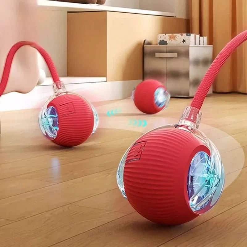 Transform Boredom into Endless Feline Fun!