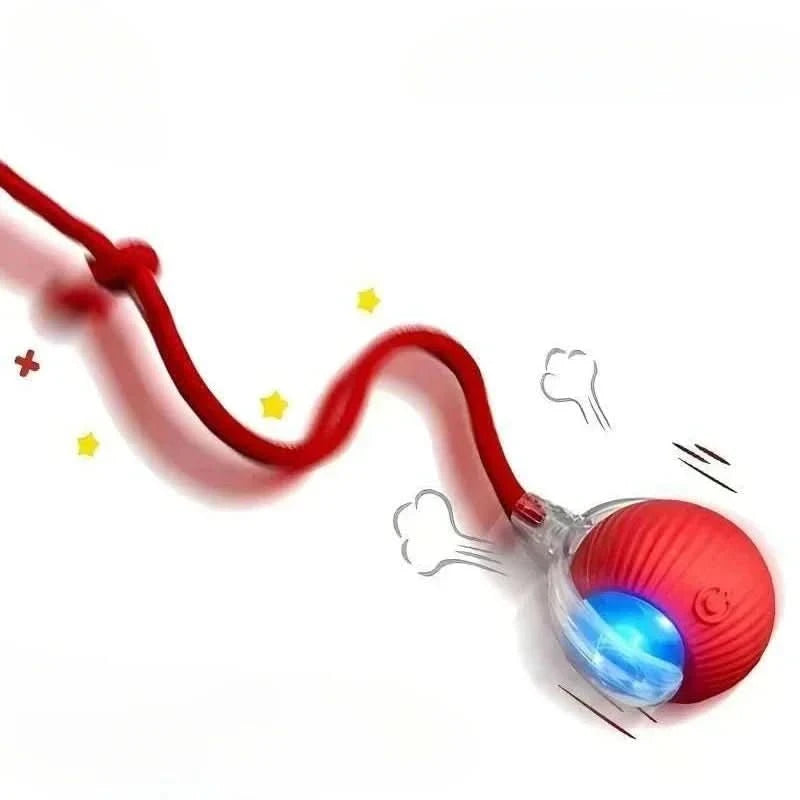 Pounce Ball - Zyreh
