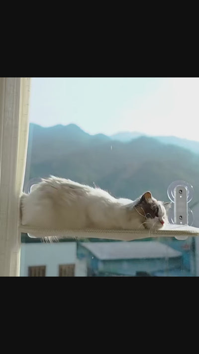 Folding Cat Hammock