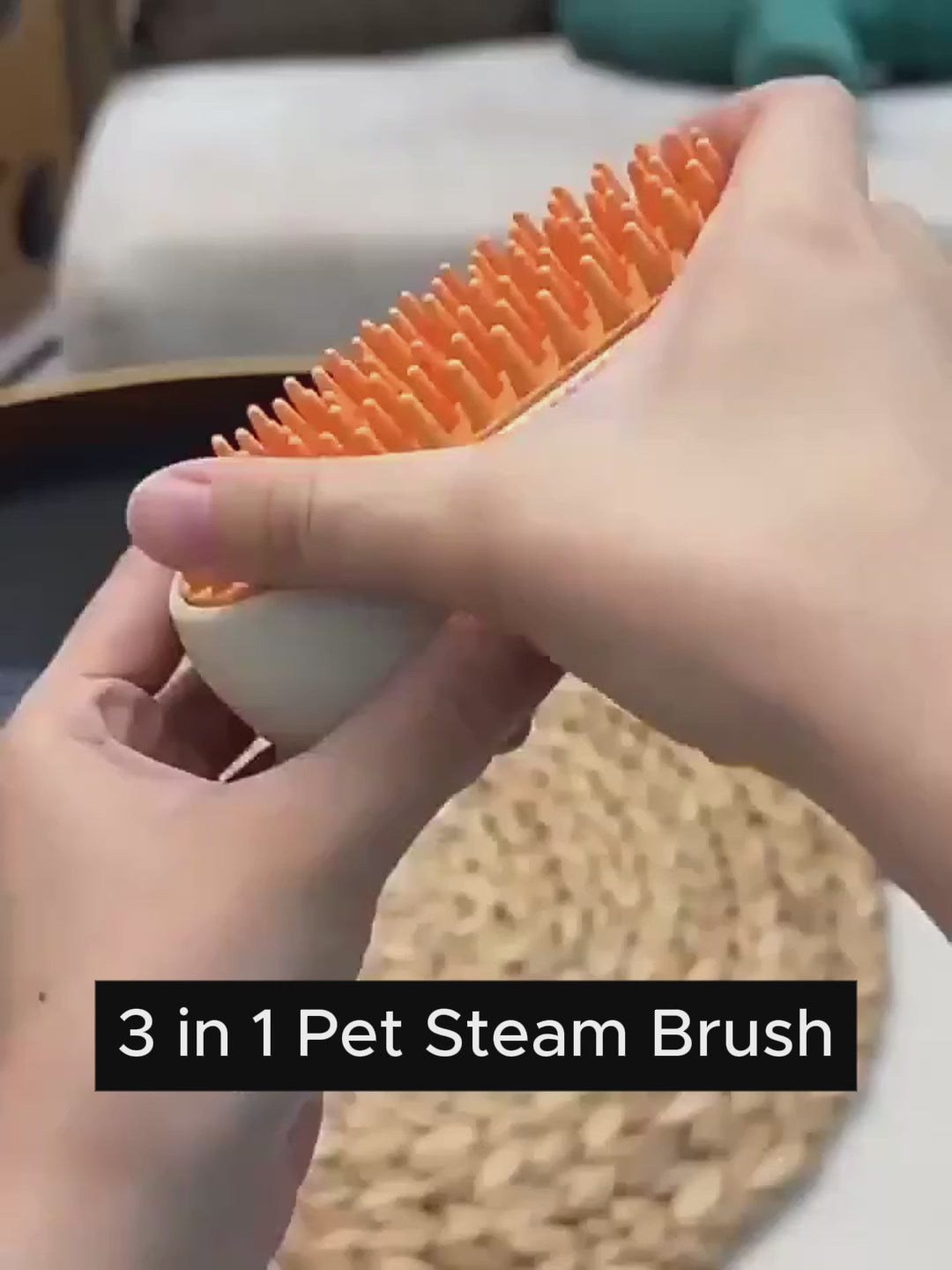 3 -In-1 Steam Spray Cat Brush - Buy 1 Get 1 Free