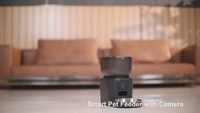 8L Automatic Pet Feeder with HD Camera and Remote Connection