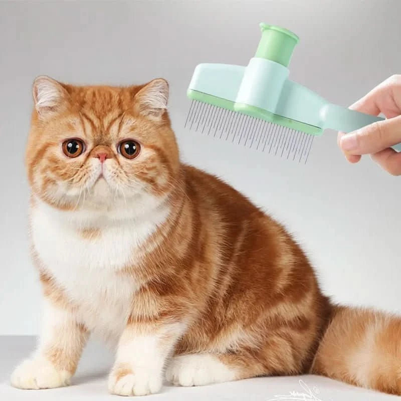 PurrGlide - Zyreh