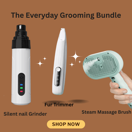 Zyreh Everyday Grooming Bundle - Zyreh